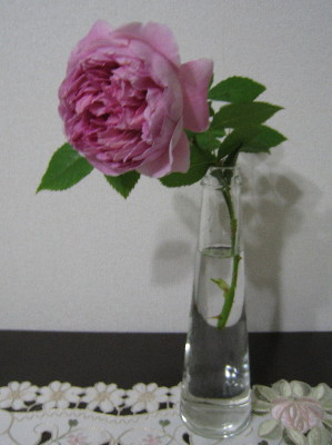 c0132387_2359067.jpg