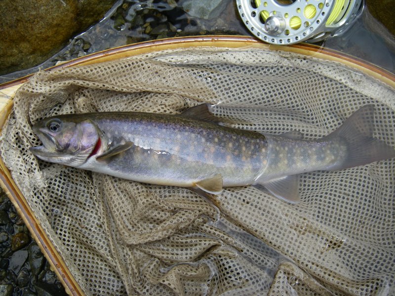 f0129994_2315080.jpg