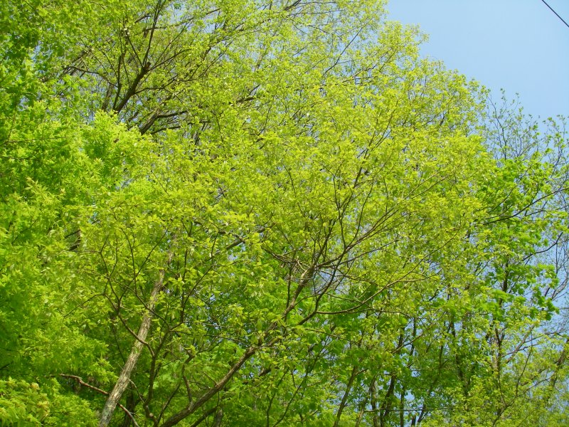 f0129994_2328533.jpg