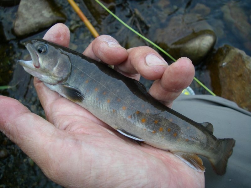 f0129994_2330125.jpg