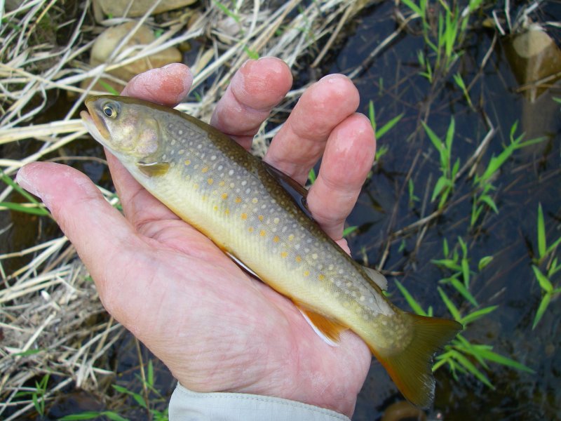 f0129994_23301973.jpg