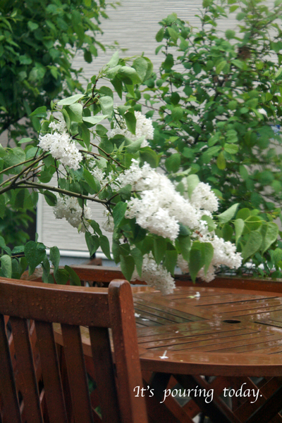 f0001895_15145924.jpg