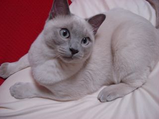 c0000307_20203417.jpg