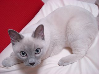 c0000307_203124.jpg