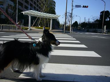 e0130008_22243695.jpg