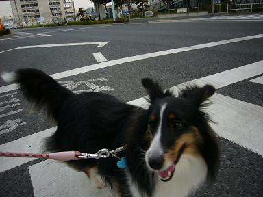e0130008_22251885.jpg