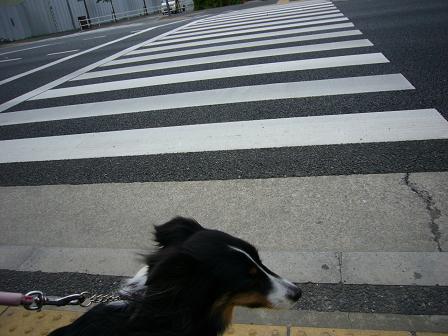 e0130008_22311210.jpg