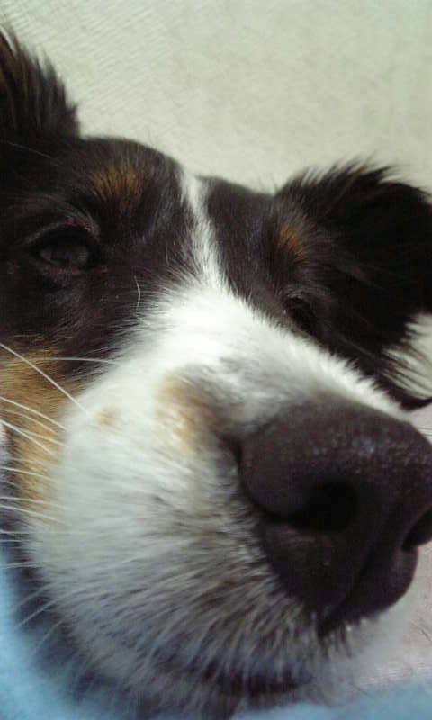e0130008_22464991.jpg