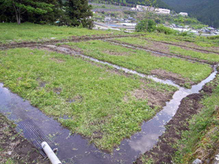 f0135908_21503622.jpg