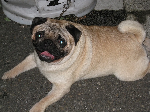 e0075412_23304566.jpg
