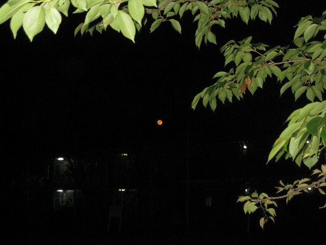 e0075412_23352549.jpg
