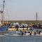e0092115_1951350.gif