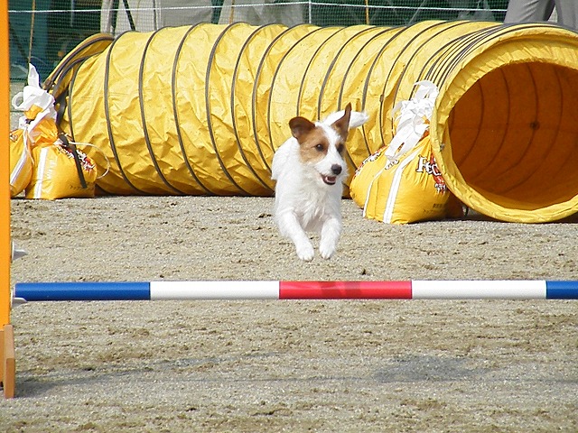 c0127617_17381391.jpg