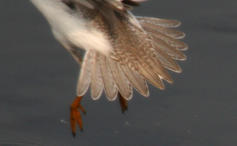 f0161823_5722100.jpg