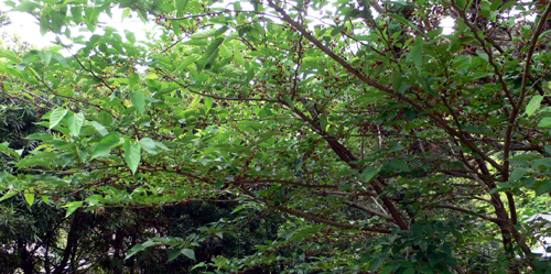 f0060424_8381990.jpg