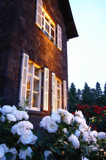 c0003830_2229611.jpg