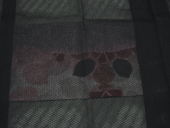 d0048332_836241.gif