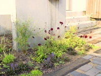 e0127935_9184118.jpg