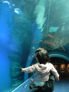d0107336_23383727.jpg