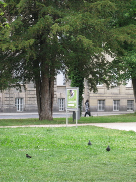 c0118237_4345598.jpg