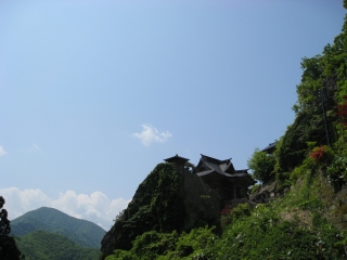 d0067640_239567.jpg