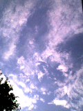 c0152241_731291.jpg