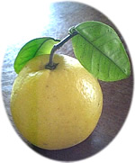 e0045847_22154185.jpg