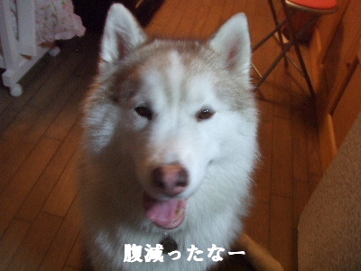 e0121548_2311734.jpg