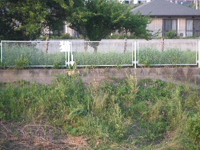 e0121548_2325690.jpg