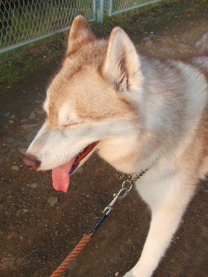 e0121548_2363329.jpg