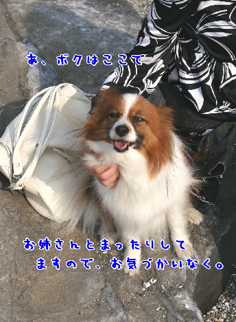 d0013149_10262551.jpg