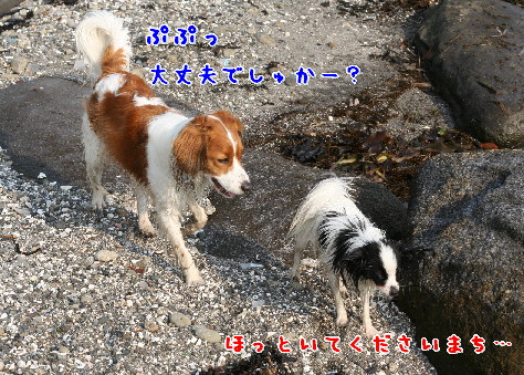 d0013149_11212519.jpg