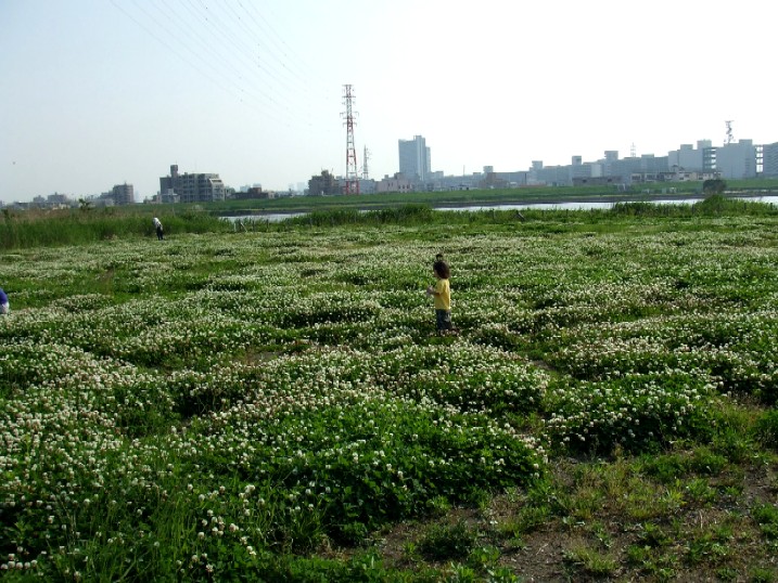 e0129656_21203272.jpg