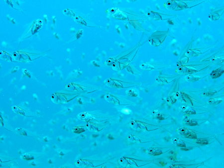 b0062363_2213629.jpg