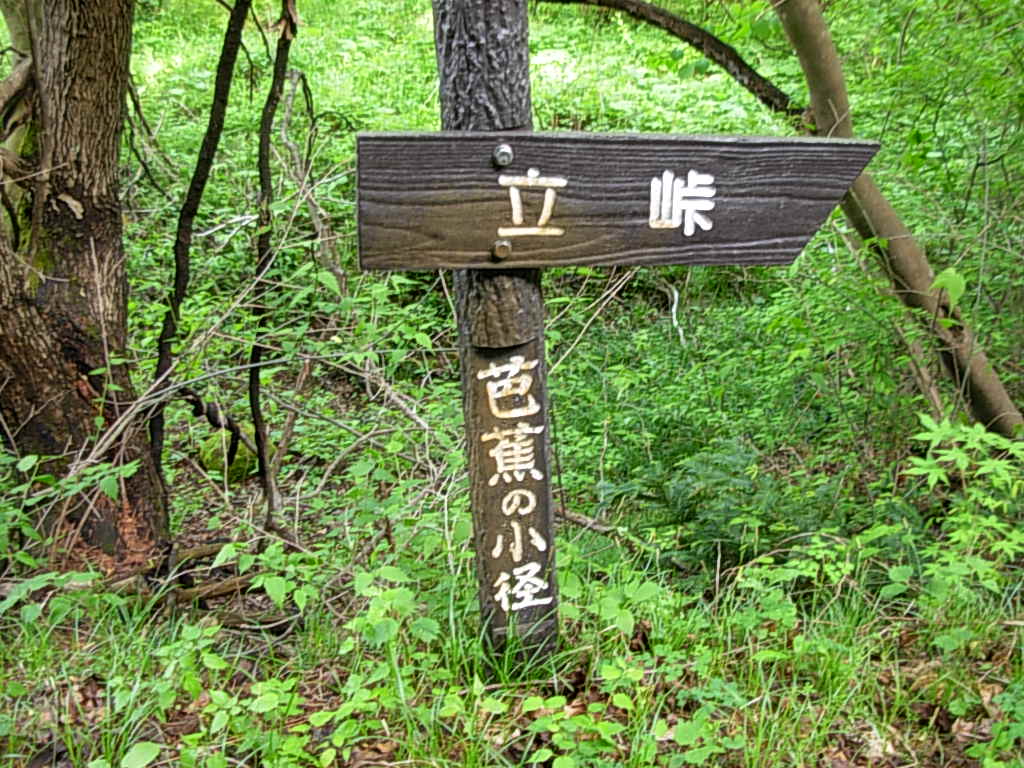 d0048366_10263532.jpg