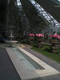 e0039871_11494619.jpg