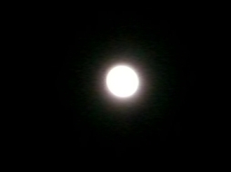 a0085574_13303139.jpg