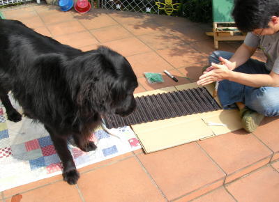 f0045283_15564213.jpg