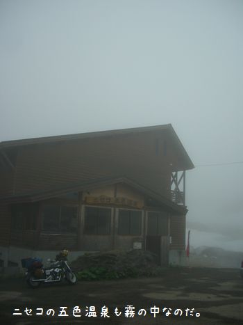 b0000885_8472364.jpg