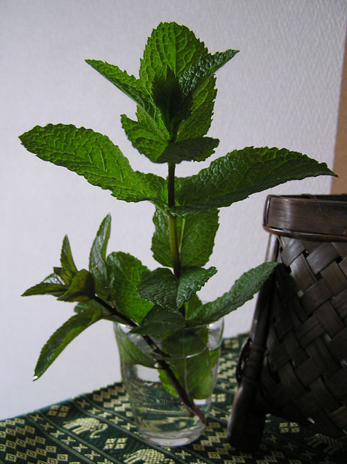 f0104487_1756141.jpg