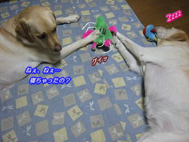 c0028792_23205426.jpg