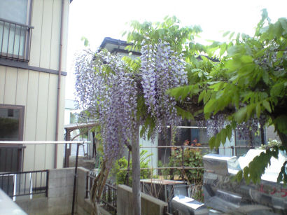 b0124693_21293883.jpg