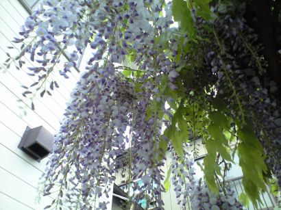b0124693_21302042.jpg