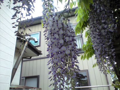 b0124693_2130838.jpg