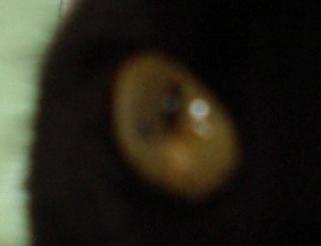 f0081594_17553214.jpg