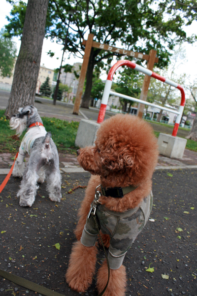 f0001895_2010024.jpg