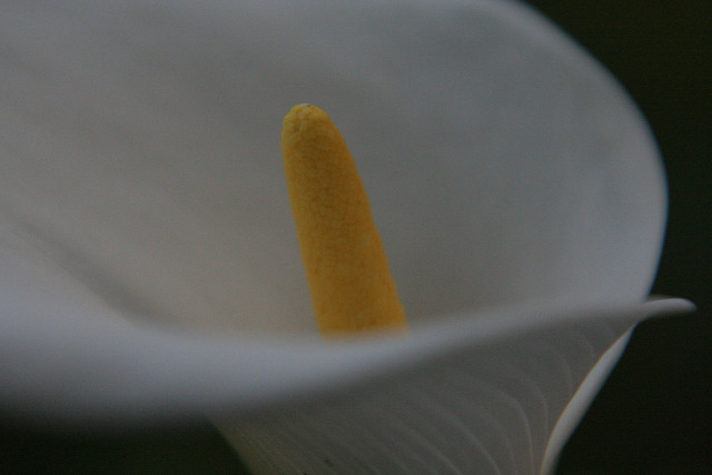 a0067201_2256584.jpg