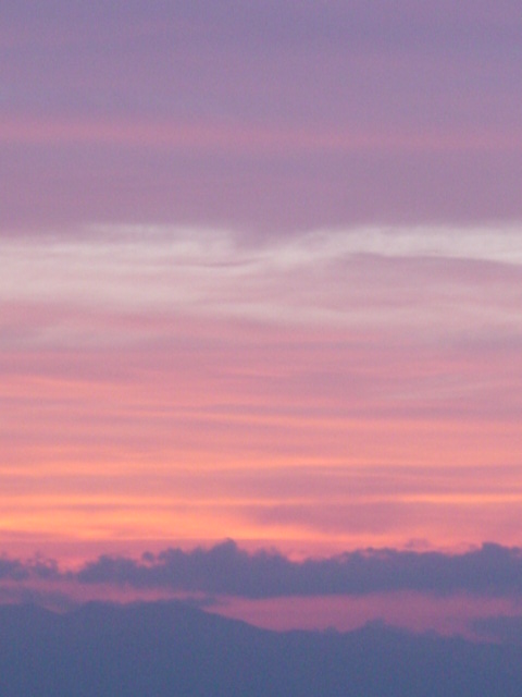 b0083902_1658092.jpg