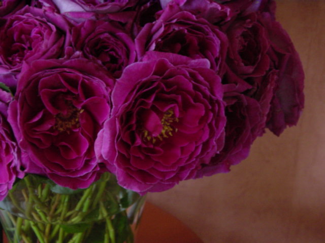 b0083902_18533838.jpg
