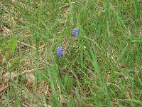 a0053203_20401316.jpg